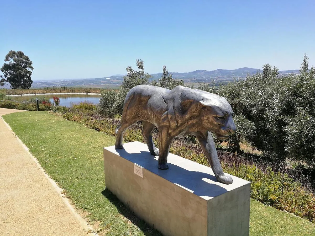 Caesar'S Self-Catering Open Plan Suite Somerset West 0*,  South Africa
