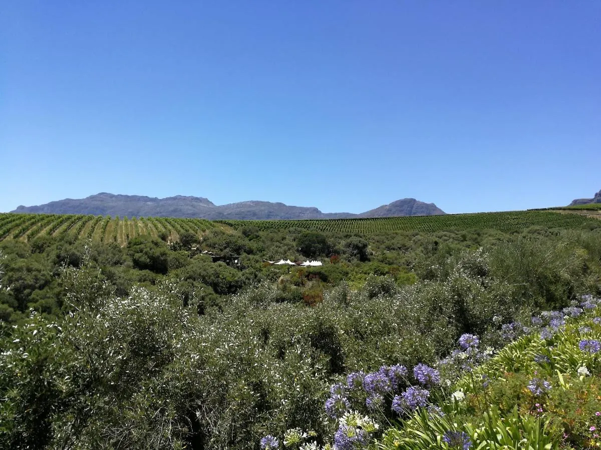 Caesar'S Self-Catering Open Plan Suite Somerset West South Africa